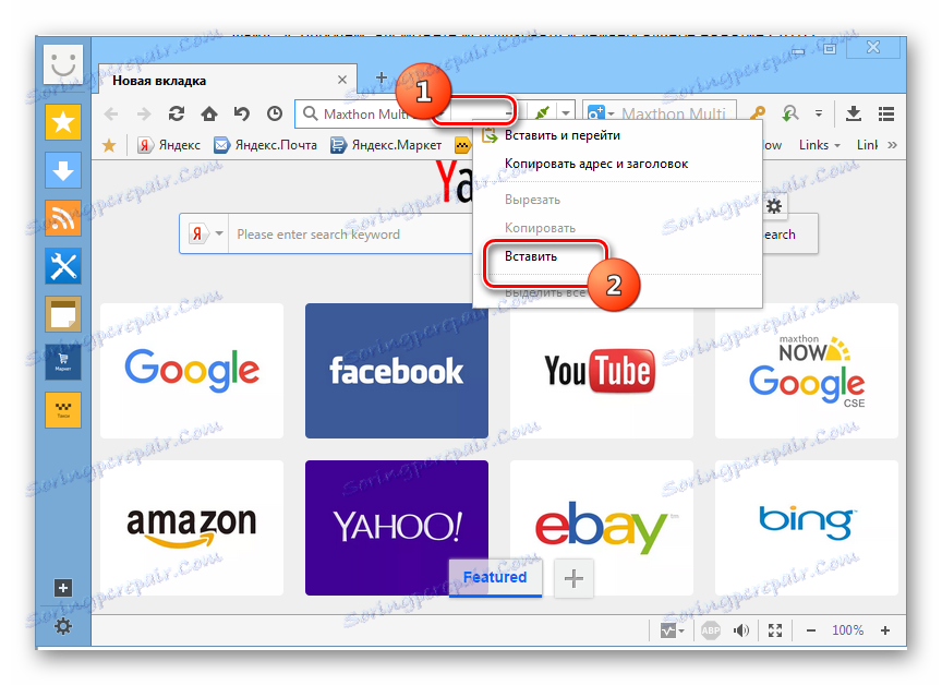 مسیر فایل فایل SVG را به نوار آدرس مرورگر Maxthon وارد کنید