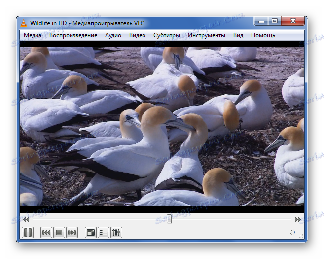 Відтворення WMV в VLC Media Player