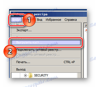 Proces przejścia do rozładowywania krzaka w oknie Edytora rejestru systemu Windows Vista 7