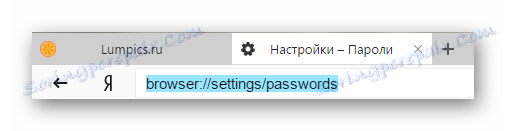 Pojdite na stran za upravljanje gesel v internetnem brskalniku Yandex.Browser