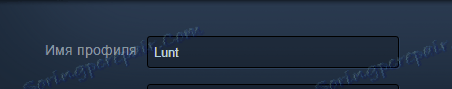 Изменение имение профиля в Steam