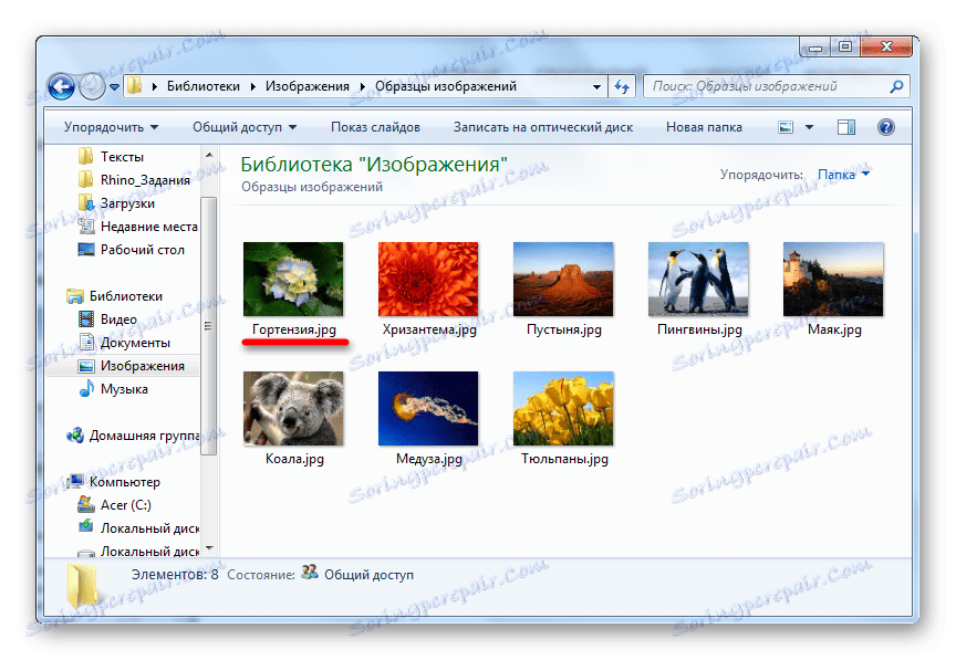 Názov súborov s rozšíreniami na systém Windows 7