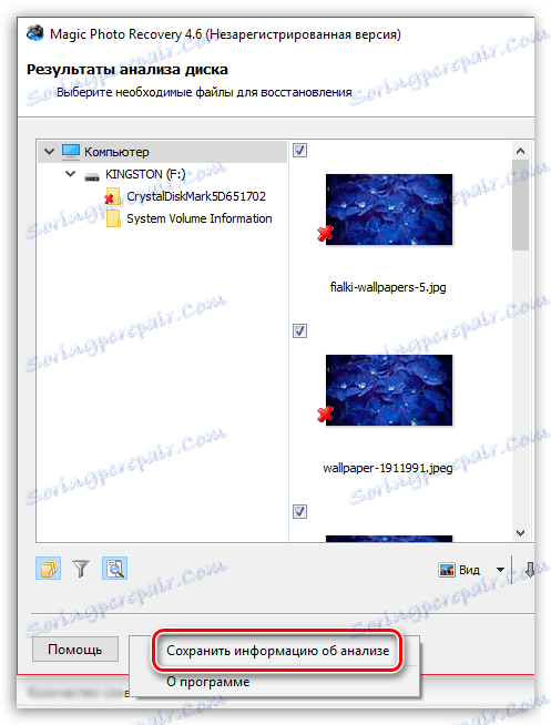 Shranjevanje informacij o analizi v programu Magic Photo Recovery