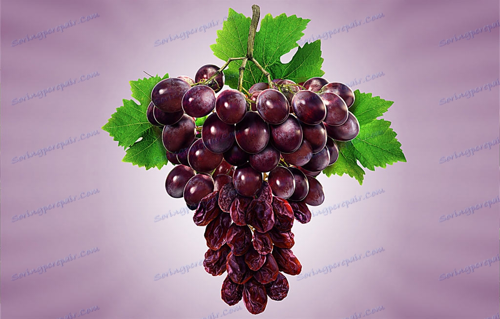 Визуализиране MODO