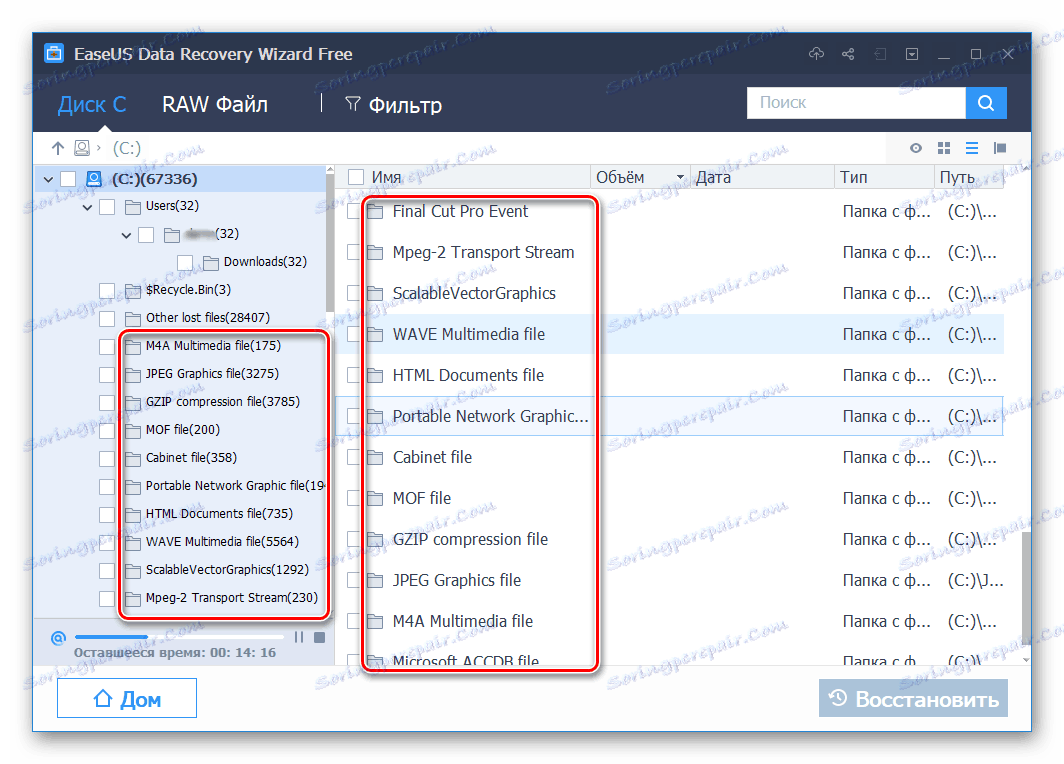 المجلدات مع الملفات مقسومة على تنسيقات في معالج استرداد بيانات EaseUS