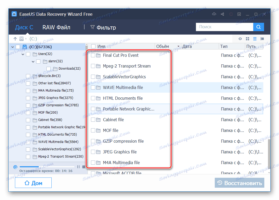 الملفات في مجلدات مرتبة حسب النوع في معالج استعادة بيانات EaseUS