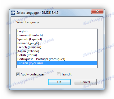 Вибір мови програми DMDE для вирішення проблеми з RAW на флешці