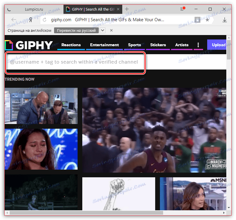 Najděte gif na Giphy.com