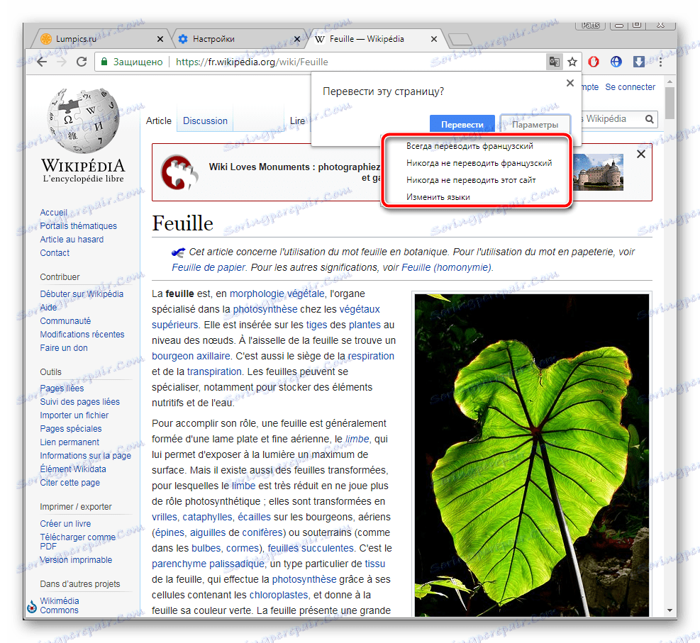 اضبط إعدادات الترجمة الضرورية في متصفح Google Chrome