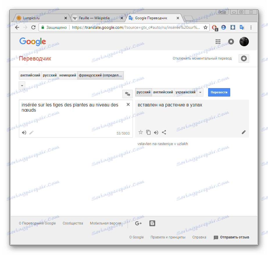 عرض الترجمة لجزء من النص في متصفح Google Chrome