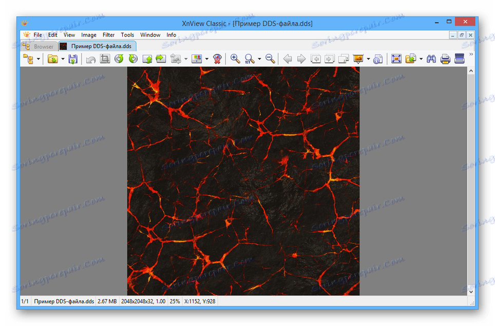 تم فتح ملف DDS بنجاح في XnView