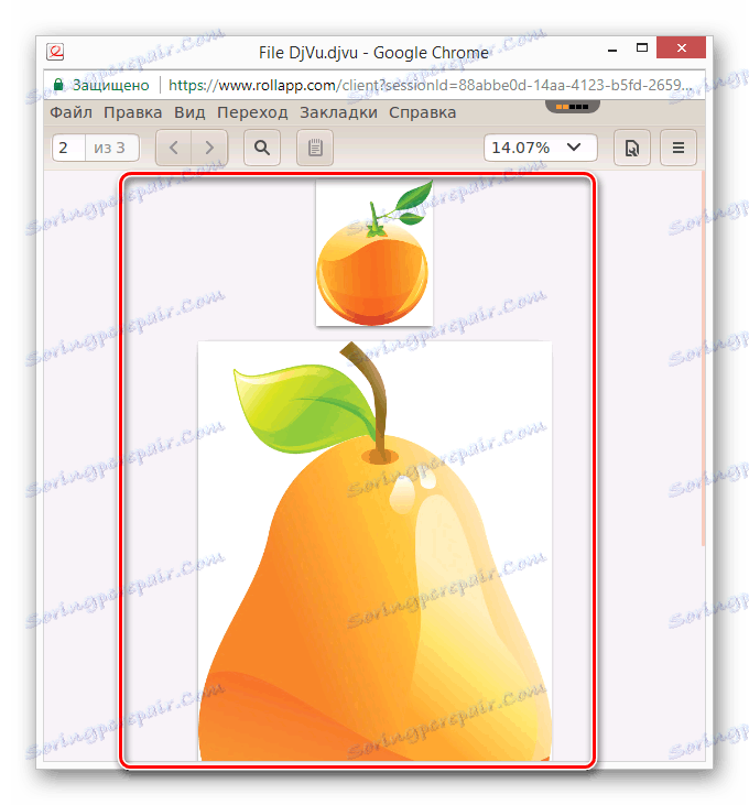 عملية عرض ملف DjVu على موقع rollMyFile