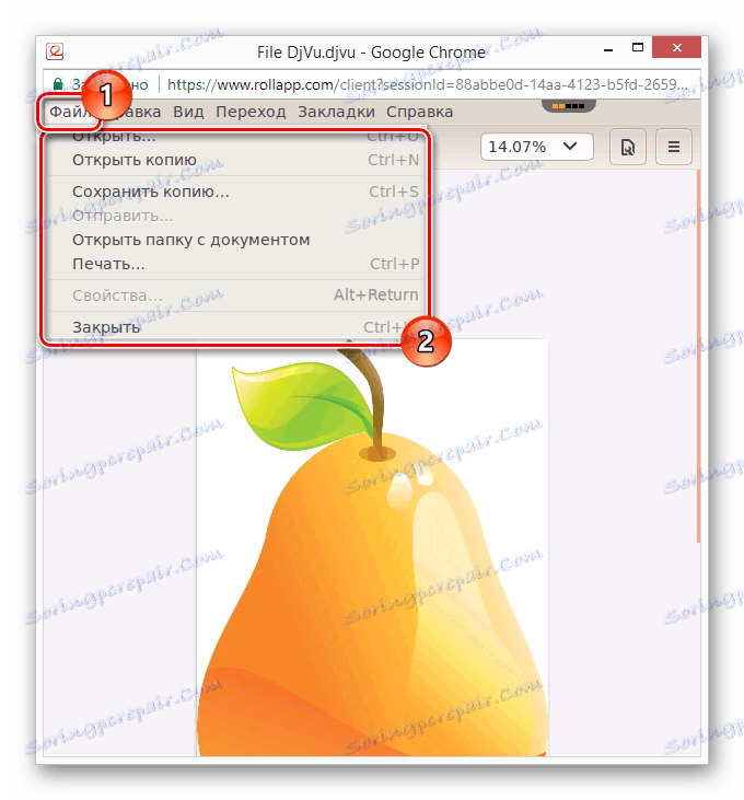 القدرة على حفظ DjVu على موقع rollMyFile