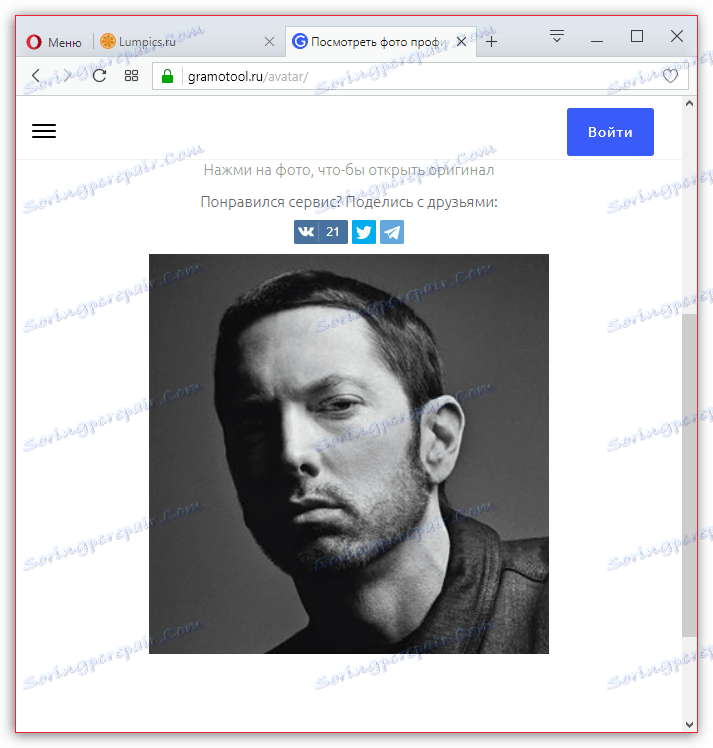 Zobraziť používateľský avatar v online službe Gramotool