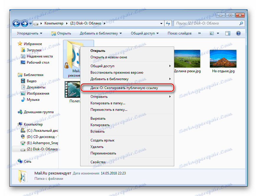 Pridobivanje javne povezave v programu Disk-O