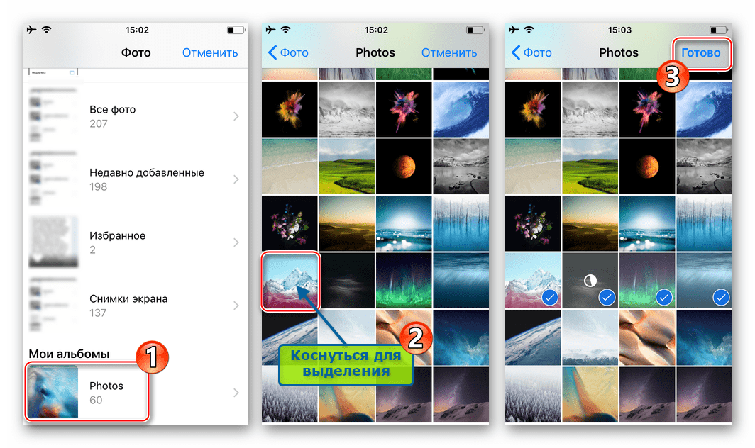 Koledzy z klasy na iPhone'a wybierają zdjęcia i inicjują wysyłanie ich do sieci społecznościowej za pośrednictwem przeglądarki internetowej