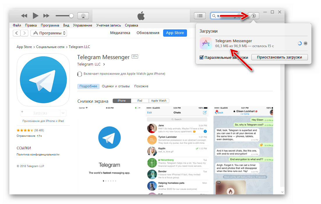 for iphone instal Telegram 4.10.2 free