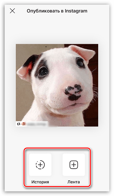 Ustvarjanje ponovnega objavljanja v Instagramu na iPhoneu