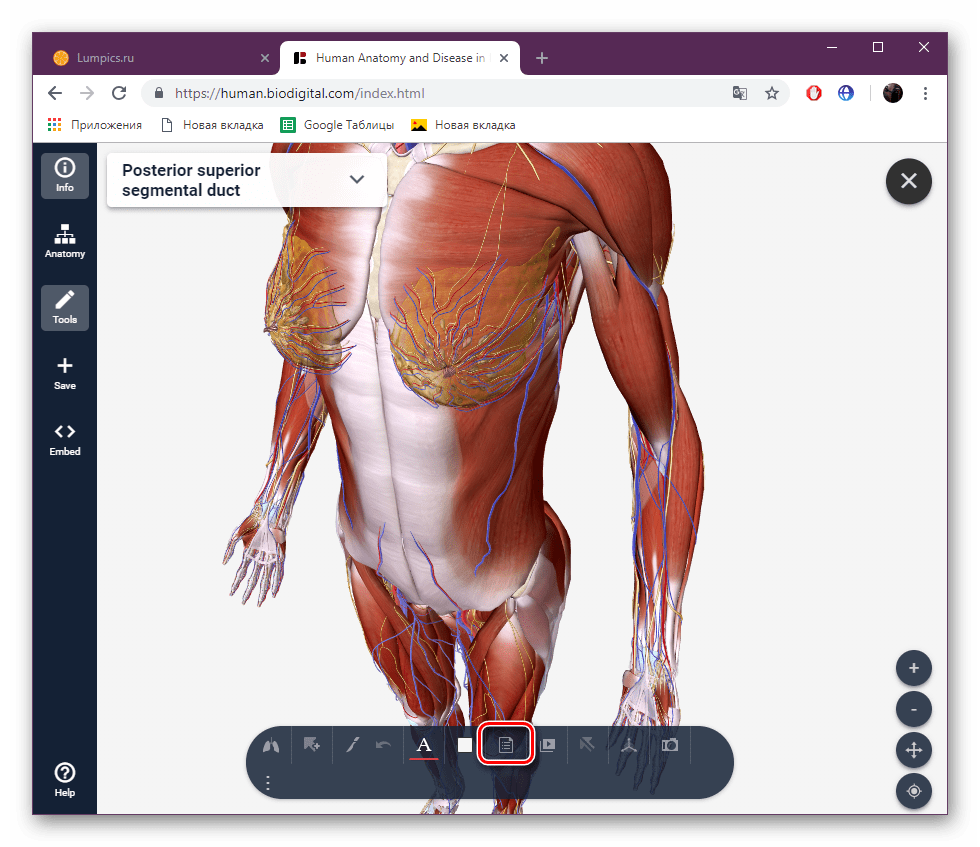 Choďte na skúšobnú stránku BioDigital
