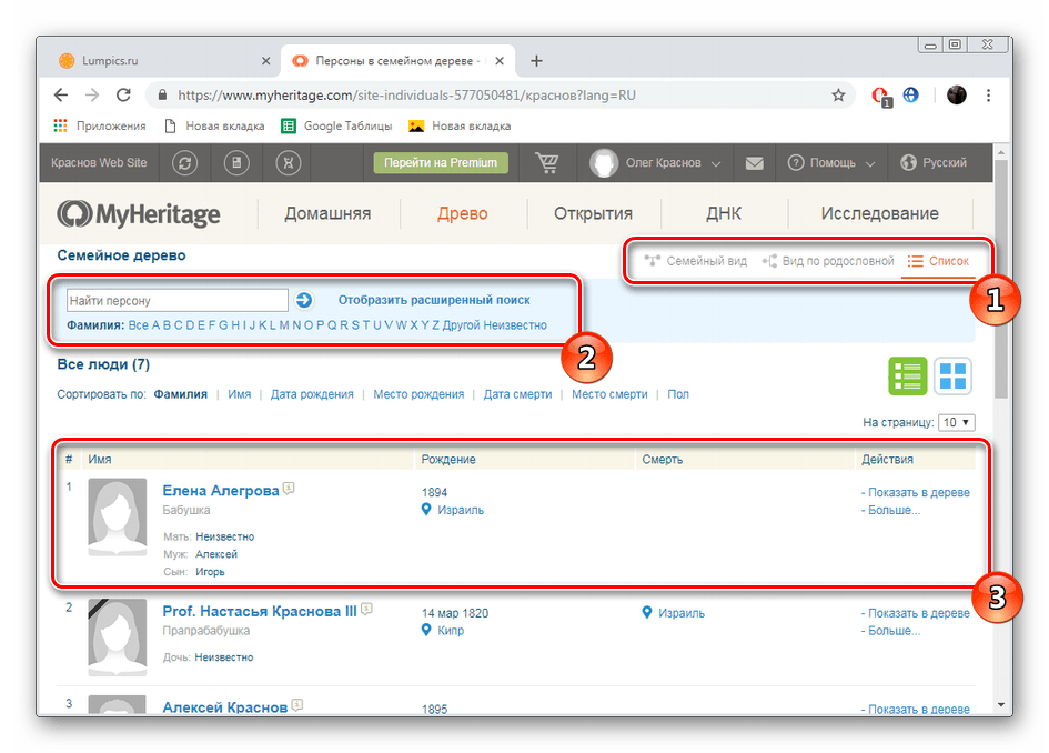 عرض الشجرة على موقع MyHeritage