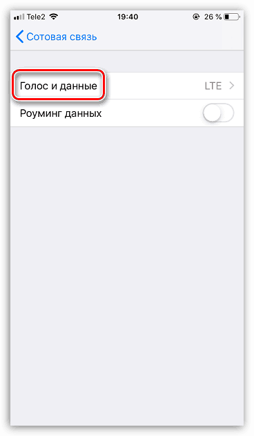 صوت وبيانات على iPhone
