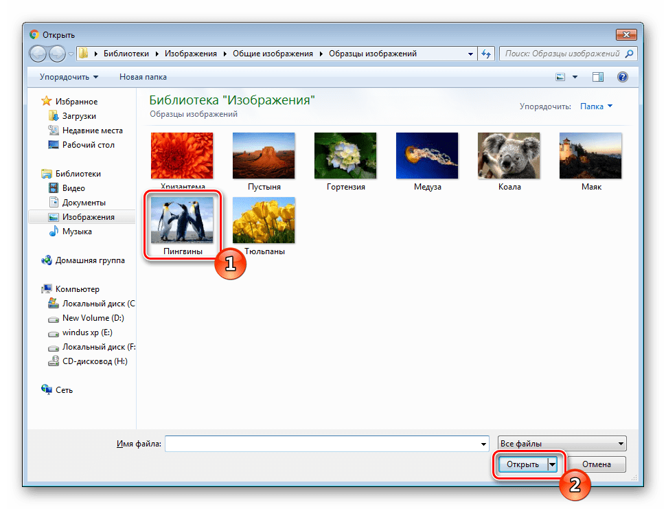 Vyberte fotografiu pre Polaroid IMGonline