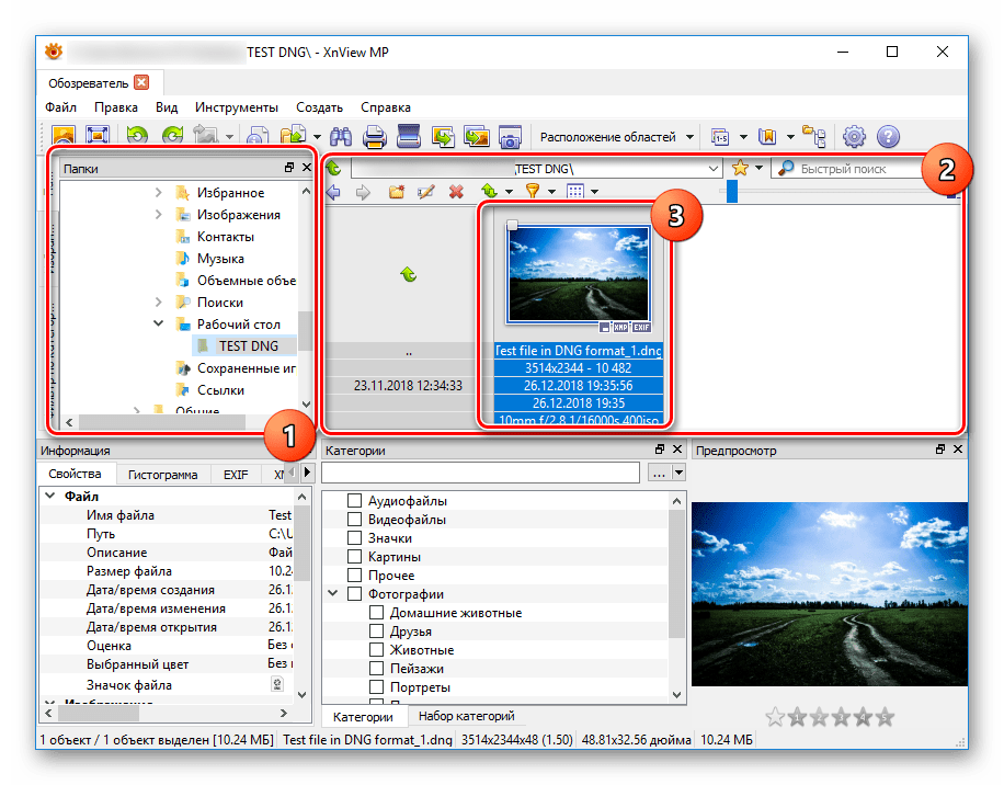 Программа для cr2. Xnview. программа xnview. dng файл. сохранить в dng.