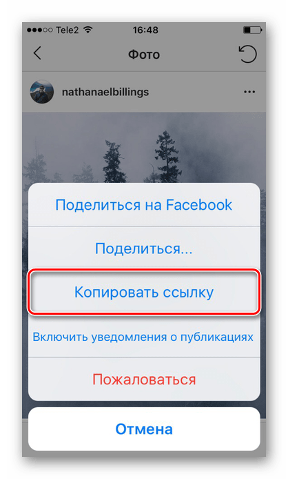 Копирайте връзката от приложението Instagram за запазване на iPhone изображения