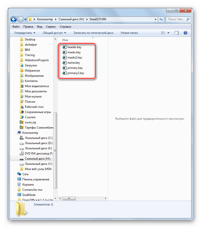 Datoteke s podaljšanjem ključa v mapi s tipkami na bliskovnem pogonu v Raziskovalcu v sistemu Windows 7