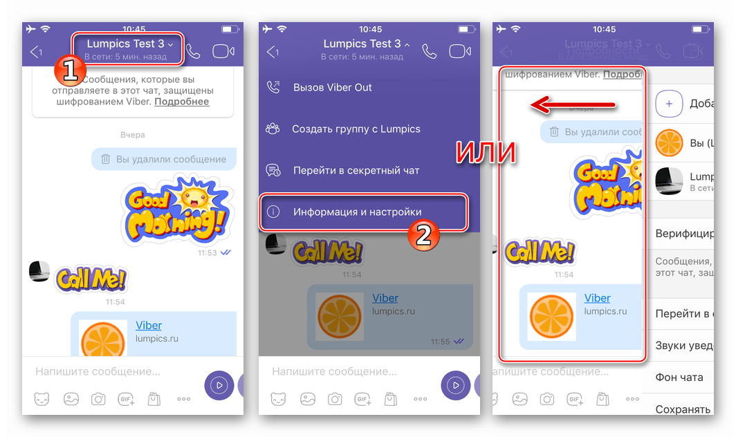 Viber for iPhone - به صفحه اطلاعات و تنظیمات گفتگوی بروید تا همه پیام ها را از آن حذف کنید.