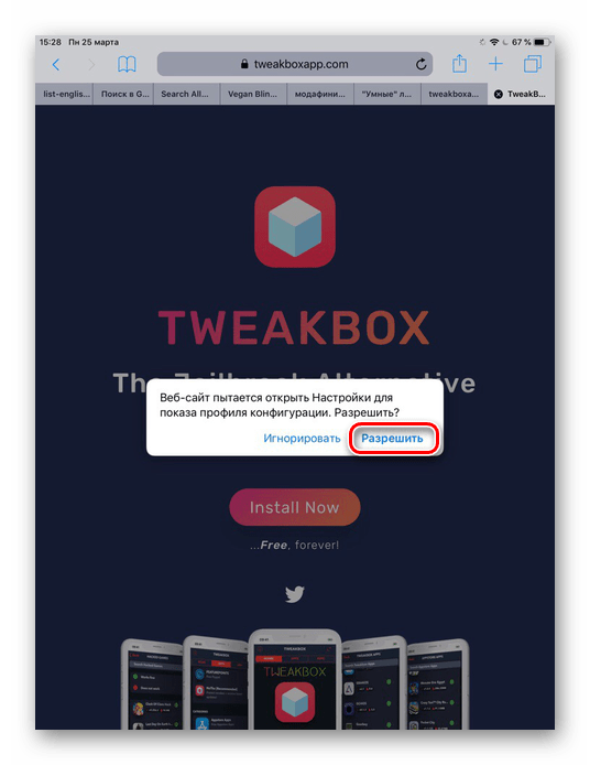 S klikom na gumb Dovoli pri namestitvi aplikacije TweakBox na iPad