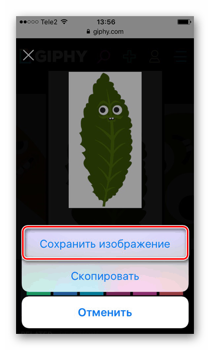 Запазване на анимирано изображение на уебсайта Giphy в браузъра Safari