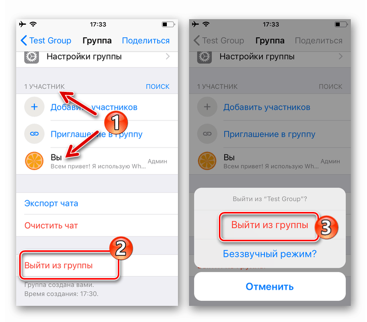 WhatsApp pre iPhone ukončiť skupinový chat po vylúčení všetkých členov