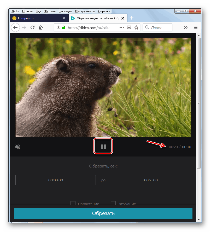 Prestanite reproducirati videozapis na usluzi Clideo u web-pregledniku Mozilla Firefox