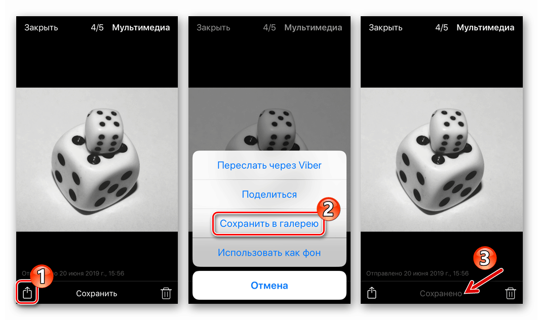 Viber za iPhone shranjuje slike iz glasnika v Galerijo
