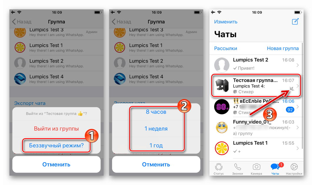WhatsApp برای غیرفعال کردن اعلان های گروه iPhone