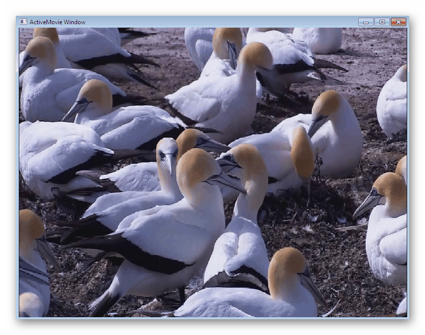 Перегляд відео після завантаження в програму Video Wallpaper