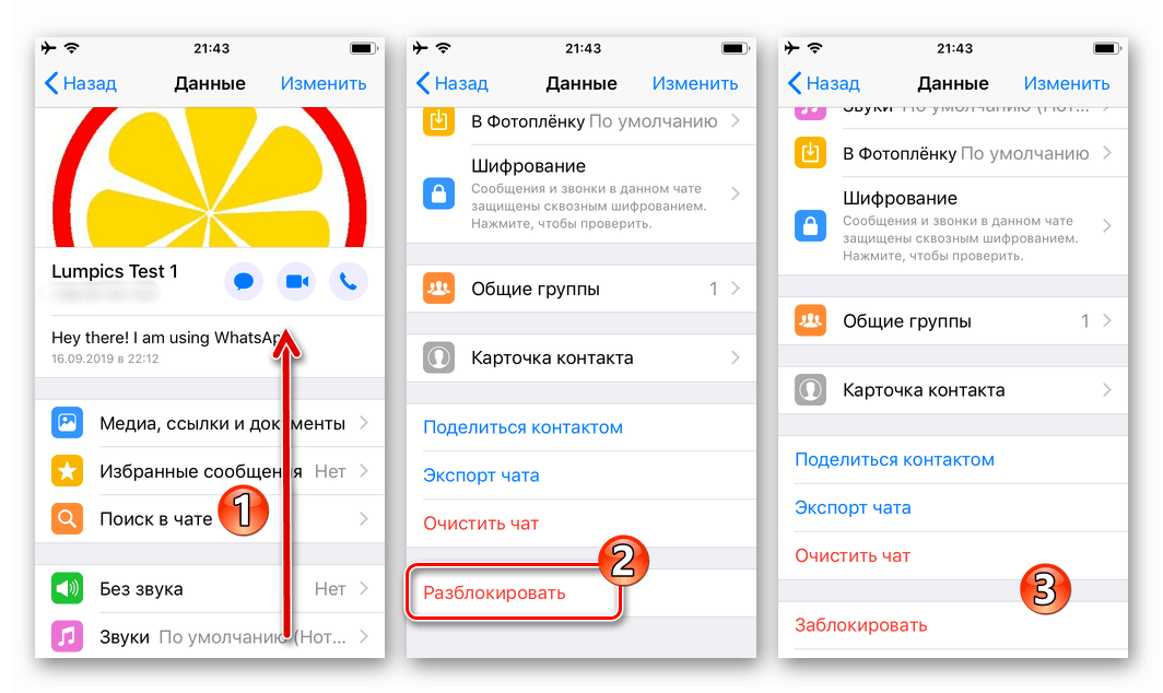 WhatsApp за функция iPhone Отключи в списъка с опции за данни