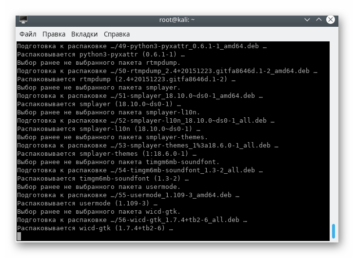 Очікування завершення установки оточення LXDE в Kali Linux