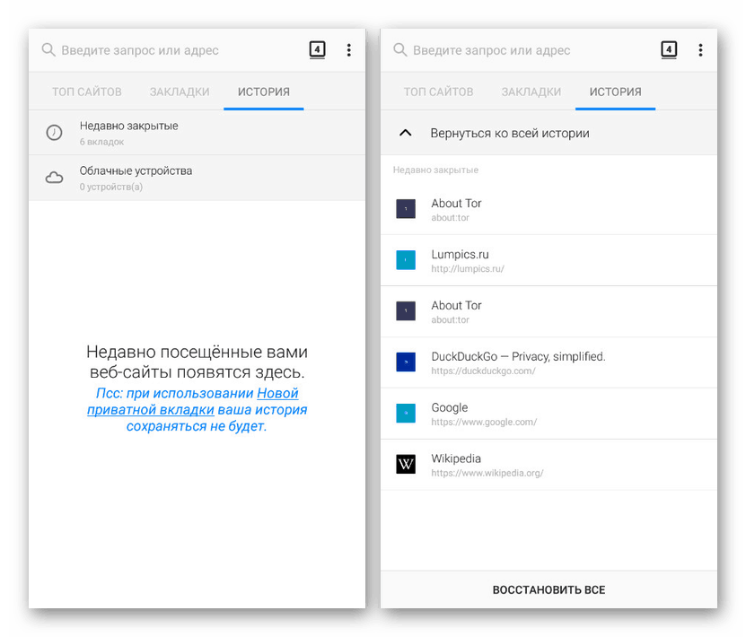 عرض السجل في متصفح Tor على Android