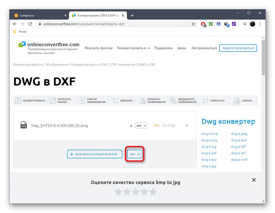 Підтвердження вибору формату для конвертації DWG в DXF через онлайн-сервіс OnlineConvertFree