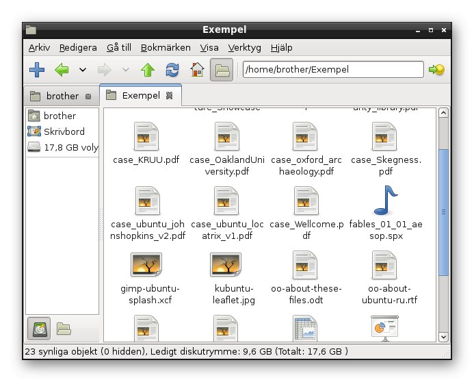 Použití správce souborů PCManFM v distribucích Linuxu