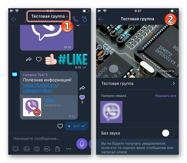 Меню с опции за групов разговор на Viber за iOS