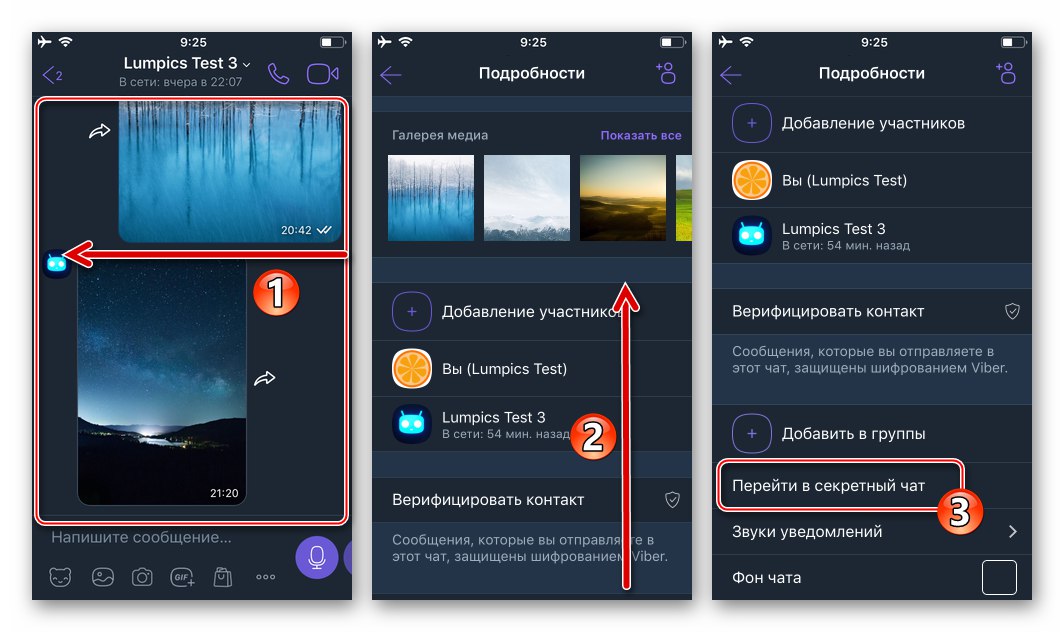 Viber за iOS - опцията Отидете в таен чат в менюто Подробности на обикновения разговор