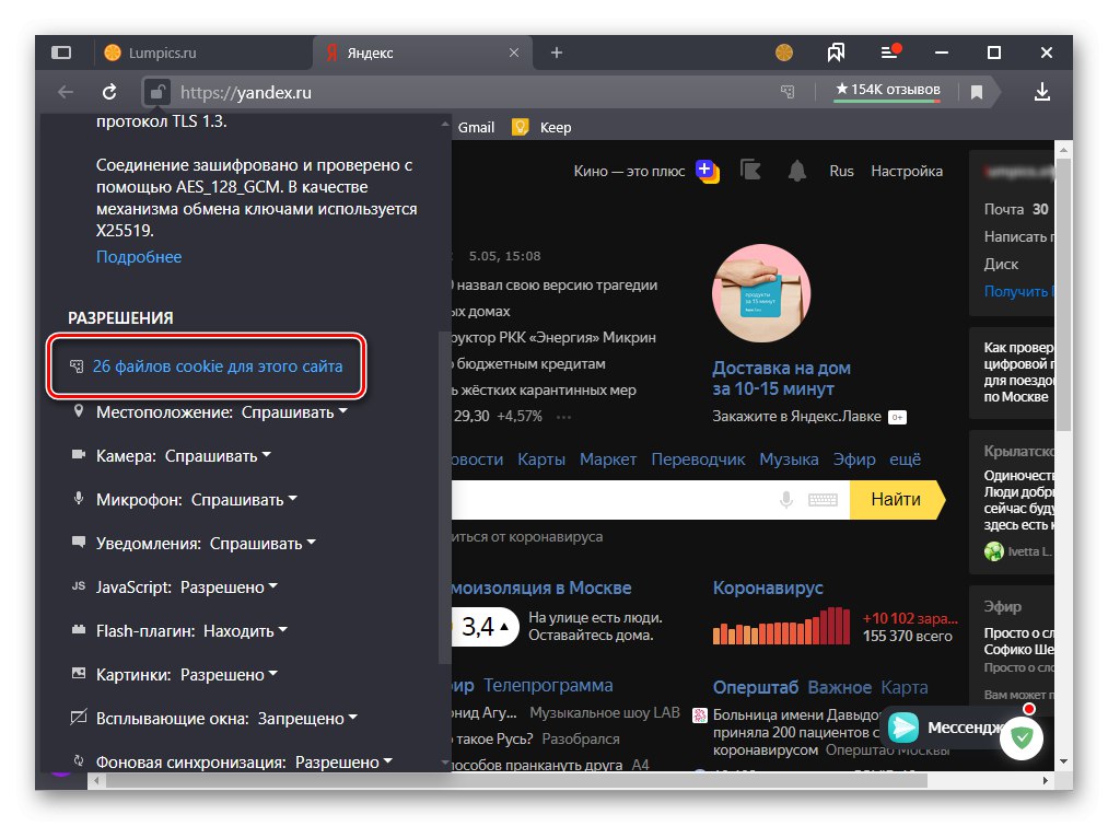 Отидете на преглед на бисквитки за този сайт в Yandex Browser на компютър