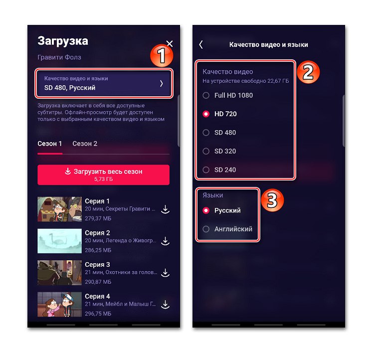 Izbira jezika in kakovosti videa v IvI