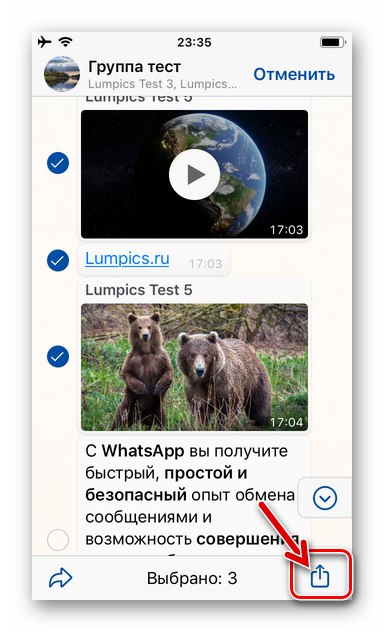 WhatsApp за iPhone Споделяне на икона на екрана за чат с подчертани съобщения