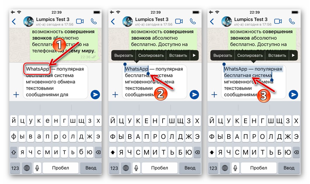 WhatsApp за iOS избор на фрагмент от текст в генерирано съобщение за прилагане на форматиране с получер шрифт
