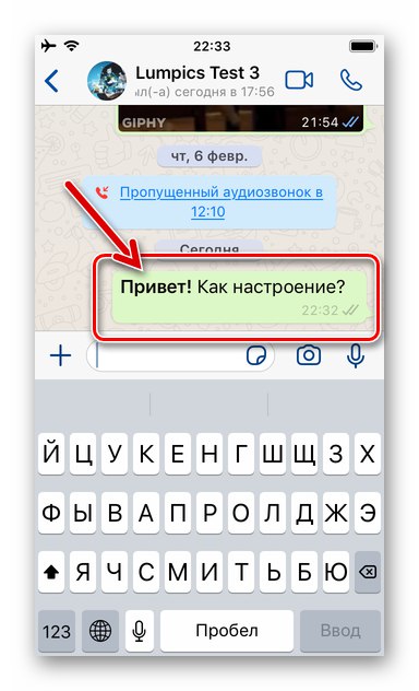 Жирный шрифт в ватсапе. Как сделать жирный шрифт в ватсапе. Как в вотсапе написать жирным шрифтом. Ватсап жирный шрифт на айфоне.