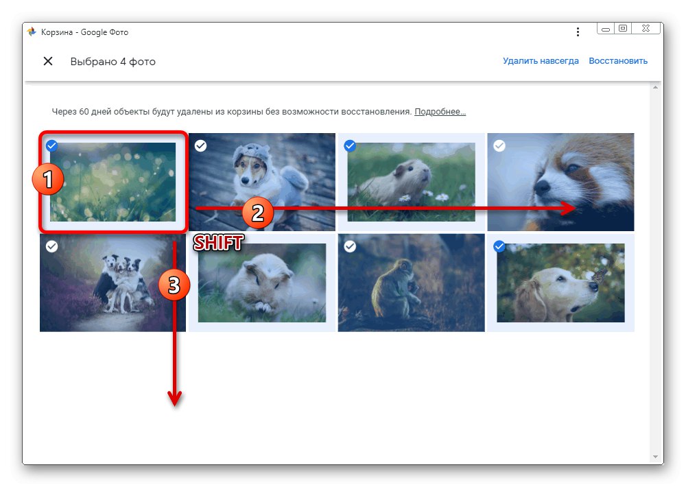 Wielokrotny wybór obrazów w koszyku w witrynie Zdjęcia Google